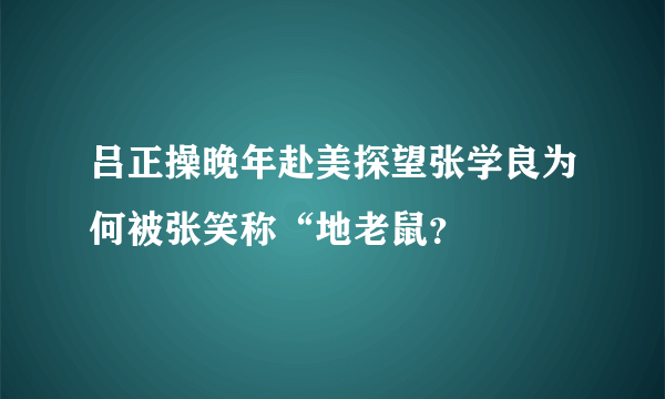 吕正操晚年赴美探望张学良为何被张笑称“地老鼠？