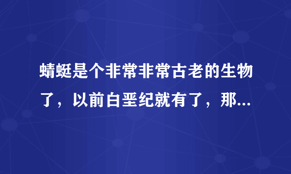 蜻蜓是个非常非常古老的生物了，以前白垩纪就有了，那时的蜻蜓像直升飞机那么大？