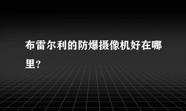 布雷尔利的防爆摄像机好在哪里？