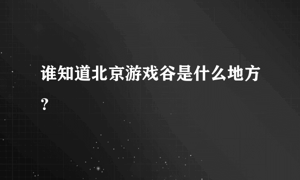 谁知道北京游戏谷是什么地方？