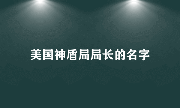 美国神盾局局长的名字