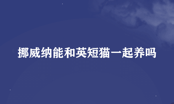 挪威纳能和英短猫一起养吗