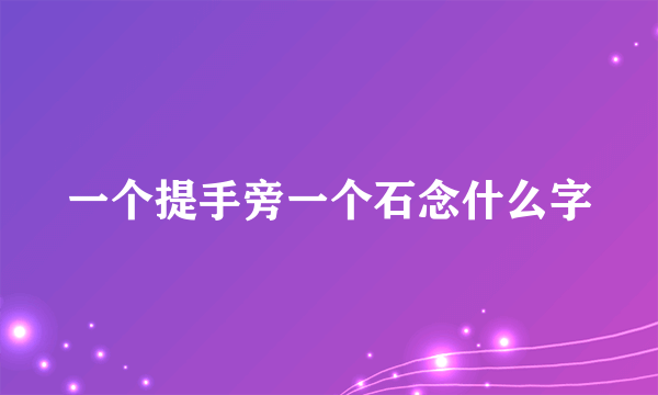 一个提手旁一个石念什么字