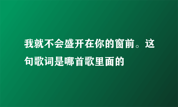 我就不会盛开在你的窗前。这句歌词是哪首歌里面的