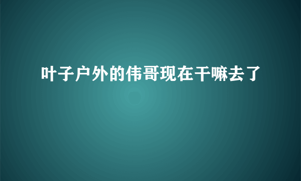 叶子户外的伟哥现在干嘛去了