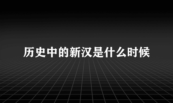 历史中的新汉是什么时候