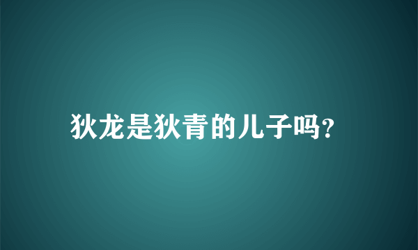 狄龙是狄青的儿子吗？