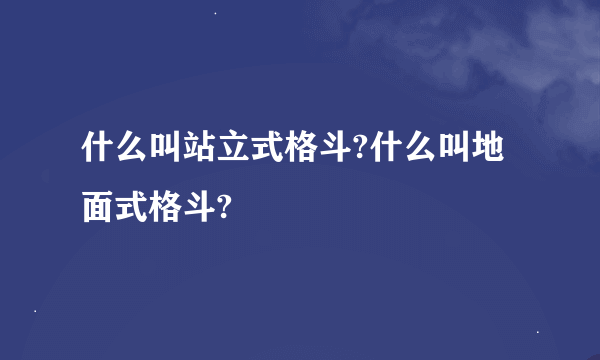 什么叫站立式格斗?什么叫地面式格斗?