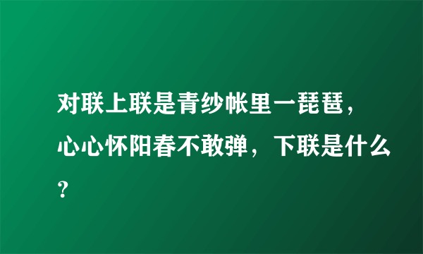 对联上联是青纱帐里一琵琶，心心怀阳春不敢弹，下联是什么？