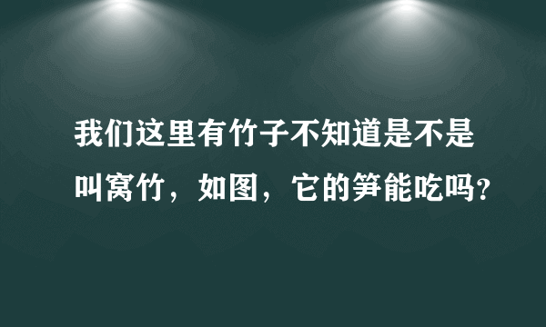 我们这里有竹子不知道是不是叫窝竹，如图，它的笋能吃吗？