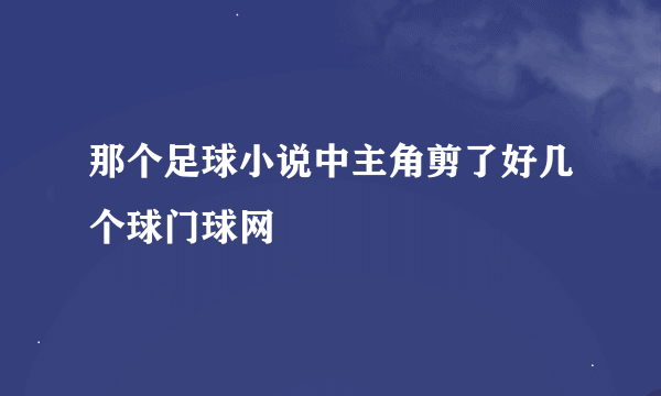 那个足球小说中主角剪了好几个球门球网