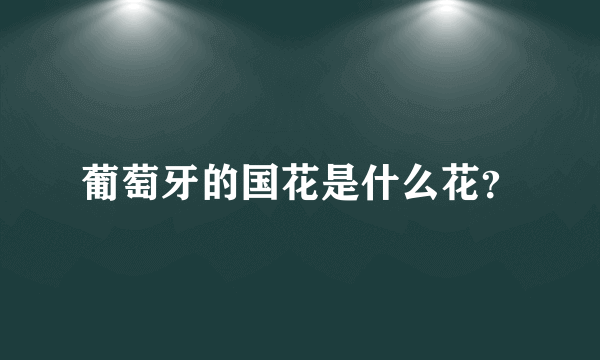 葡萄牙的国花是什么花？