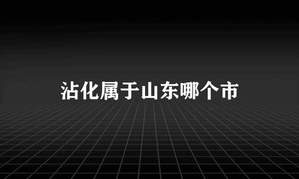 沾化属于山东哪个市