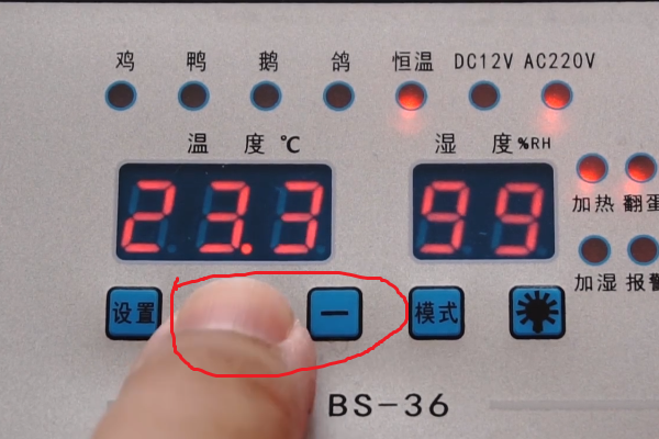 用孵化器孵化小鸡的全部过程