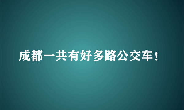 成都一共有好多路公交车！