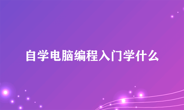 自学电脑编程入门学什么