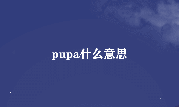 pupa什么意思