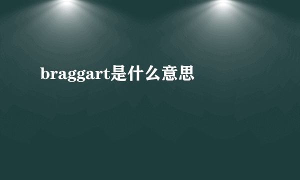 braggart是什么意思