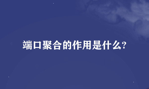 端口聚合的作用是什么?