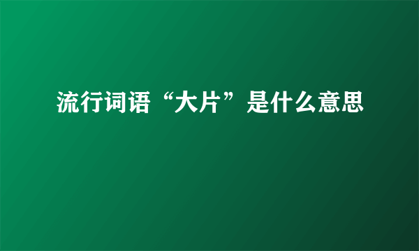 流行词语“大片”是什么意思