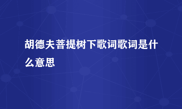 胡德夫菩提树下歌词歌词是什么意思