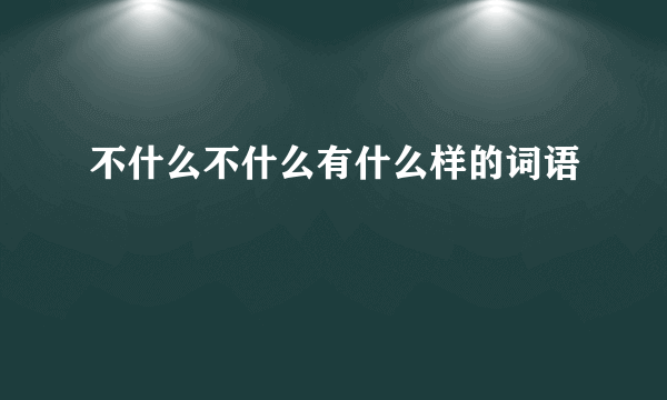 不什么不什么有什么样的词语