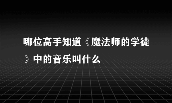 哪位高手知道《魔法师的学徒》中的音乐叫什么