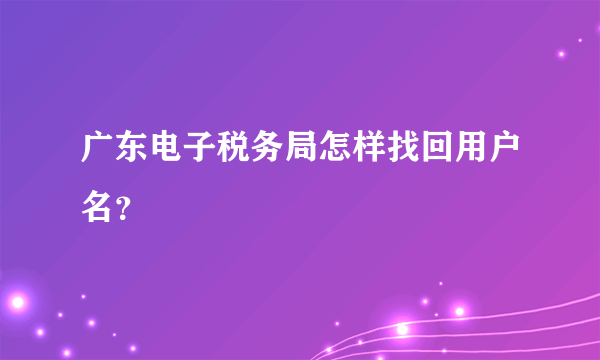 广东电子税务局怎样找回用户名？