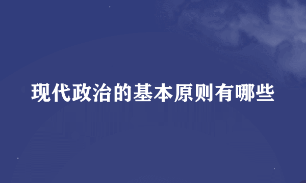 现代政治的基本原则有哪些