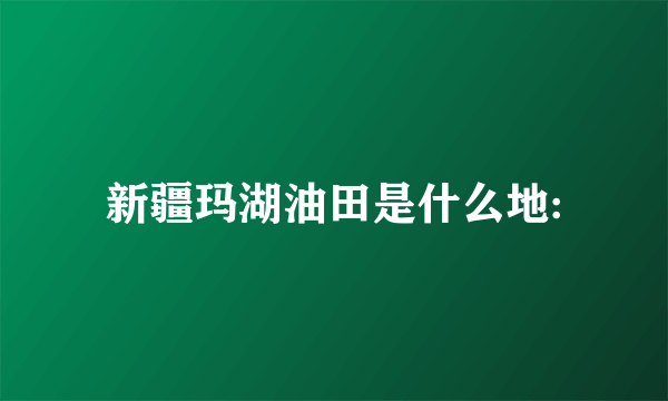 新疆玛湖油田是什么地: