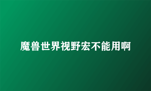 魔兽世界视野宏不能用啊