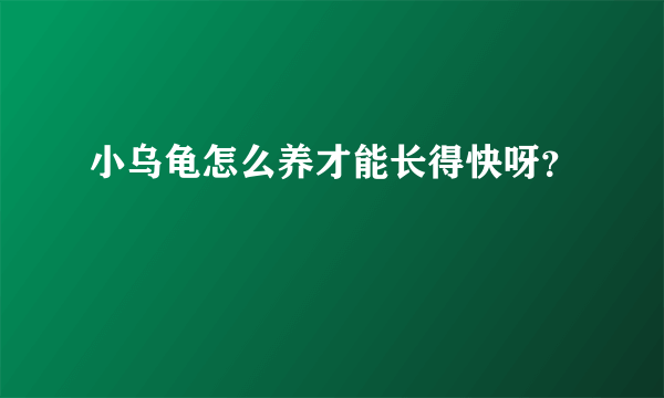 小乌龟怎么养才能长得快呀？