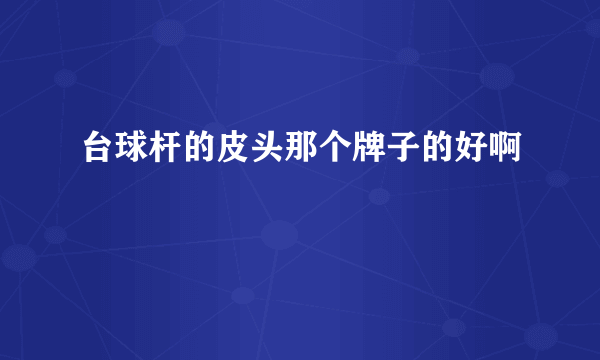 台球杆的皮头那个牌子的好啊