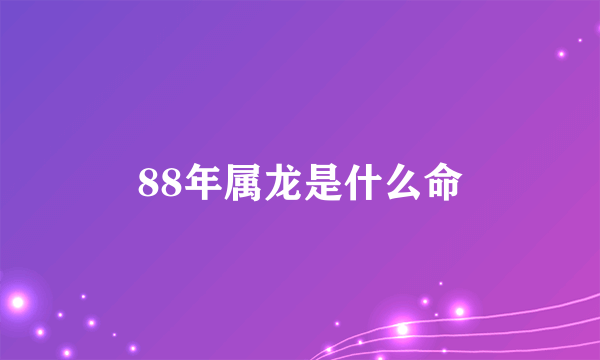 88年属龙是什么命