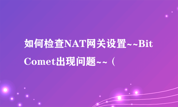 如何检查NAT网关设置~~BitComet出现问题~~（