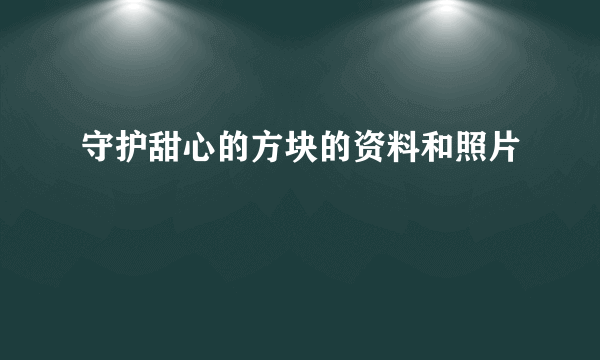 守护甜心的方块的资料和照片