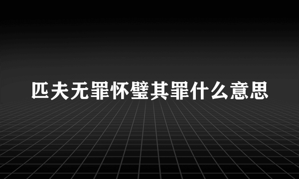 匹夫无罪怀璧其罪什么意思