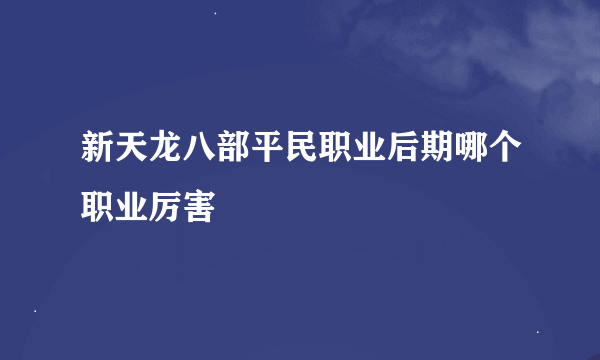 新天龙八部平民职业后期哪个职业厉害