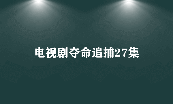 电视剧夺命追捕27集