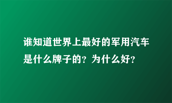 谁知道世界上最好的军用汽车是什么牌子的？为什么好？