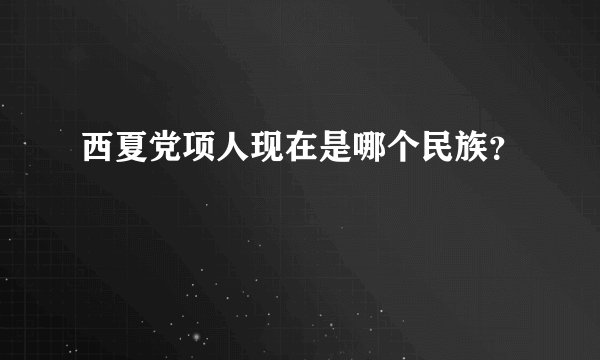 西夏党项人现在是哪个民族？