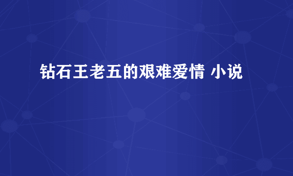 钻石王老五的艰难爱情 小说