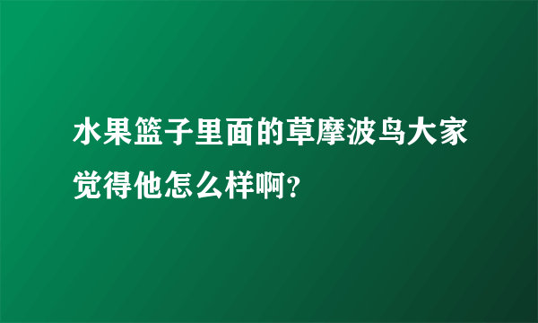 水果篮子里面的草摩波鸟大家觉得他怎么样啊？