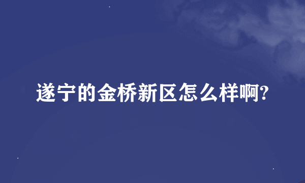 遂宁的金桥新区怎么样啊?