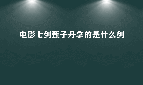 电影七剑甄子丹拿的是什么剑