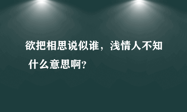 欲把相思说似谁，浅情人不知 什么意思啊？