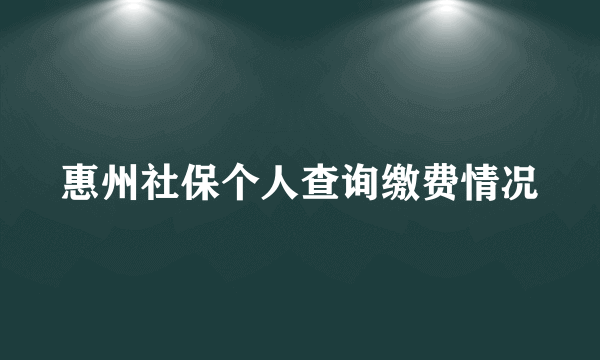 惠州社保个人查询缴费情况