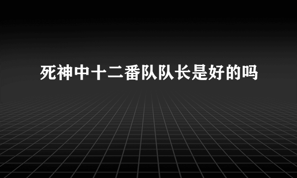 死神中十二番队队长是好的吗