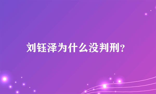 刘钰泽为什么没判刑？