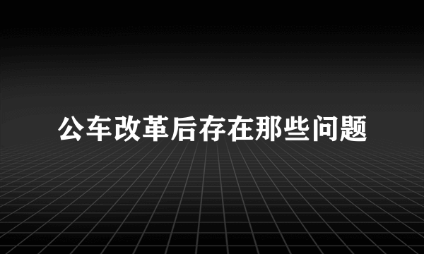 公车改革后存在那些问题